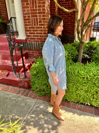 Jesse Denim Dress